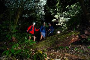 BIB: 
                            <button type="button" onclick="openModal(15973652)" class="btn btn-primary btn-sm float-right btn-popup" data-toggle="modal" data-target=".modal-high-quality">
                        <i class="fas fa-shopping-cart"></i> Add to Cart
                    </button>
                                            <button type="button" onclick="isThisMe(15973652, true)" class="btn btn-success btn-sm float-right btn-popup btn-isme hidden" data-toggle="tooltip" data-placement="bottom" title="นี่คือรูปของคุณใช่ไหม คลิกที่นี่เพื่อเอาเข้าอัลบั้ม">
                        <i class="fas fa-plus"></i> Add to album
                    </button>
                    <button type="button" onclick="isThisMe(15973652, false)" class="btn btn-warning btn-sm float-right btn-popup btn-isnotme hidden">
                        <i class="fas fa-ban"></i> Remove from album
                    </button>